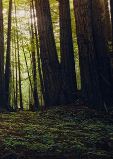 2026Outlander Trail Edition